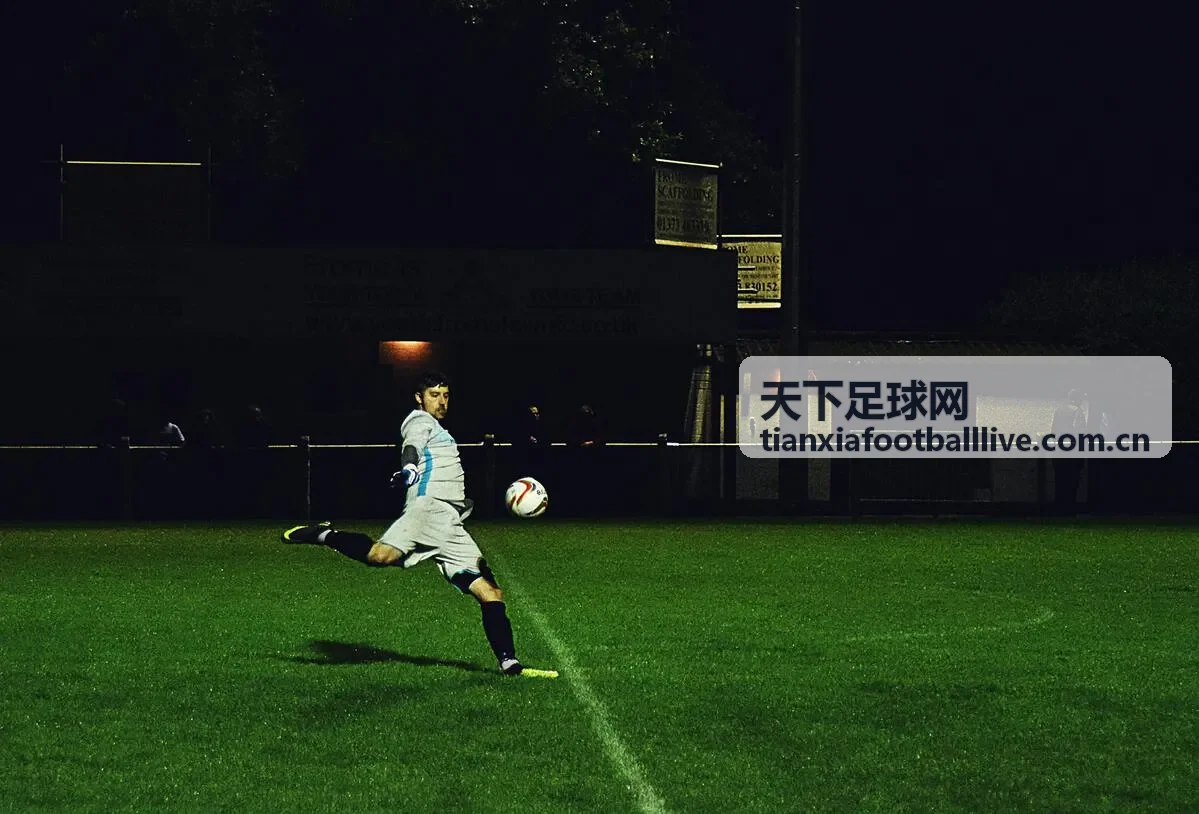 天下足球网进球合集视频
